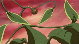  Yes!Precure5GoGo Ep22 review