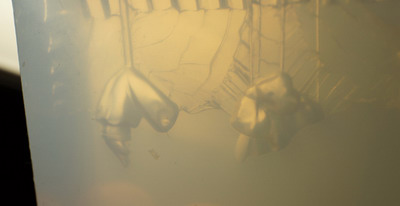 Coming Soon – June week 3, 2012: Coming Soon – June week 3, 2012: