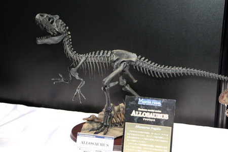 Treasure Festa 2012 in Ariake 7   Part 1: Griffon Enterprises