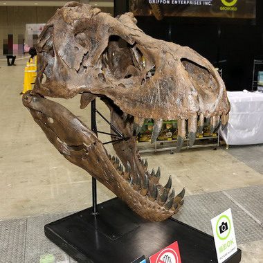 Treasure Festa 2012 in Ariake 7   Part 1: Griffon Enterprises
