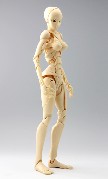 S.F.B.T 3 non scale ABS action doll model by M field