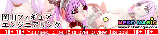 Large Areola Maid Hanna chan Erobikari!pink 1/5 PVC figure by Okayama Figure Engineering Large Areola Maid Hanna chan Erobikari!pink 1/5 PVC figure by Okayama Figure Engineering