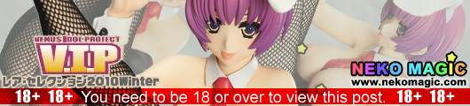 V.I.P Rare Selection 2010 Winter – V.I.P Rare Selection Aiba Minori 1/7 PVC figure by Orchidseed V.I.P Rare Selection 2010 Winter – V.I.P Rare Selection Aiba Minori 1/7 PVC figure by Orchidseed